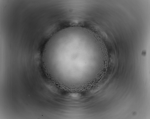 X0000103170659200808221236