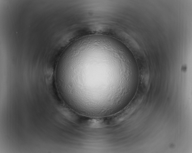 X0000103170660200808221236