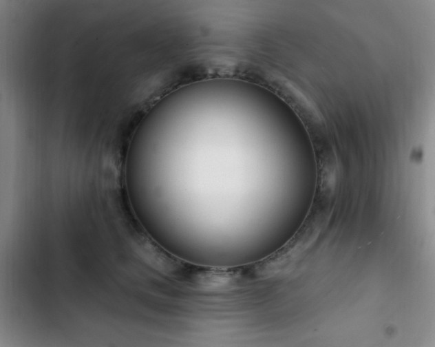 X0000103170661200808221236