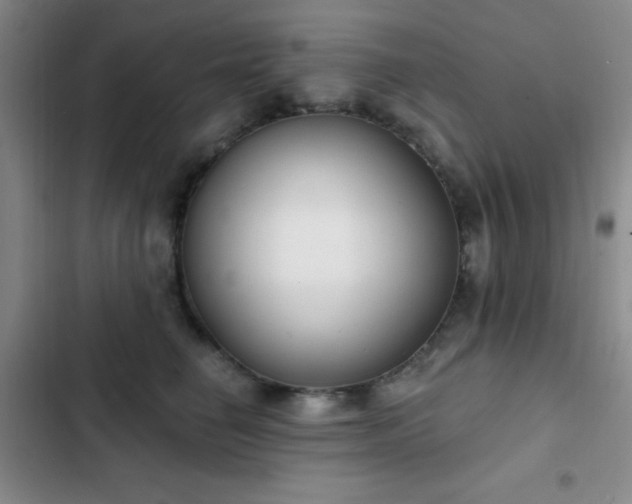 X0000103170662200808221236