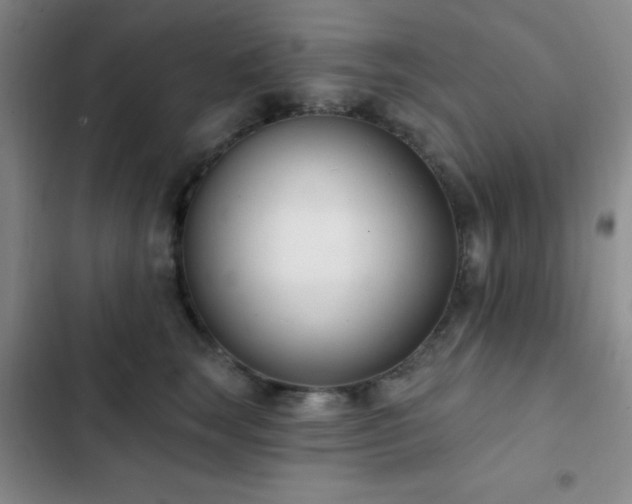 X0000103170663200808221236