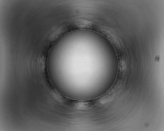 X0000103170664200808221236