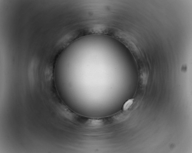 X0000103170665200808221236