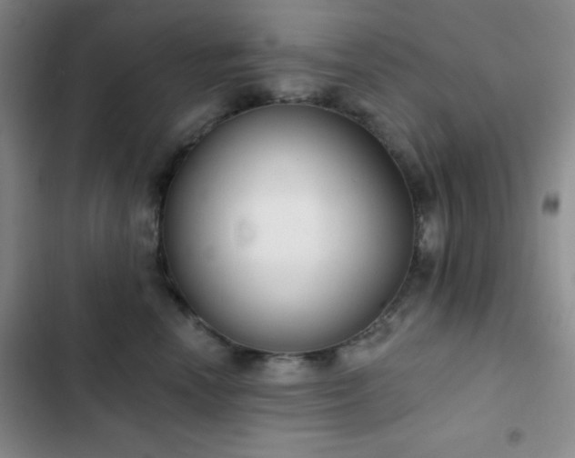 X0000103170666200808221236