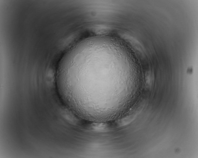 X0000103170667200808221236