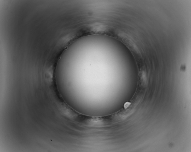 X0000103170668200808221236