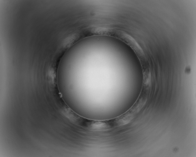 X0000103170669200808221236