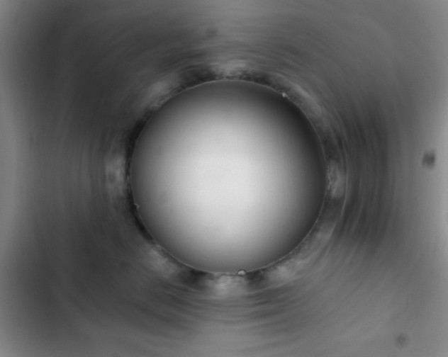 X0000103170670200808221236