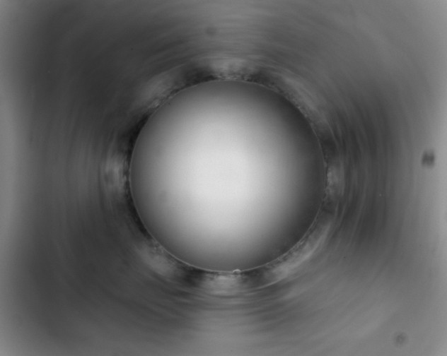 X0000103170671200808221236