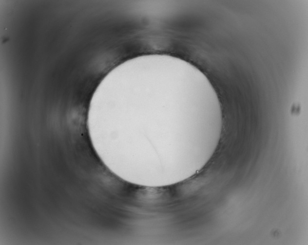 X0000103170672200808221236