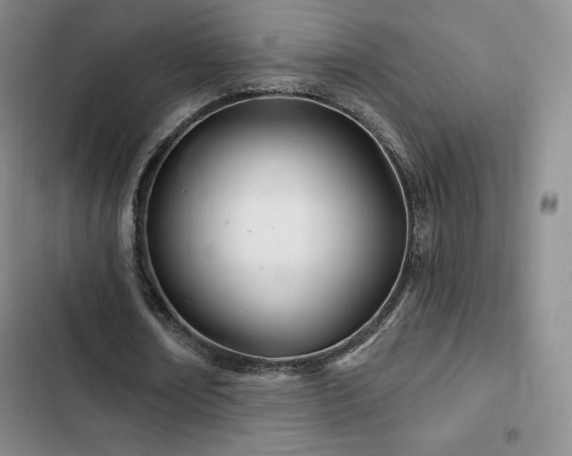 X0000103170674200808221235