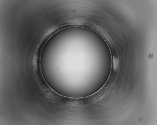 X0000103170675200808221235