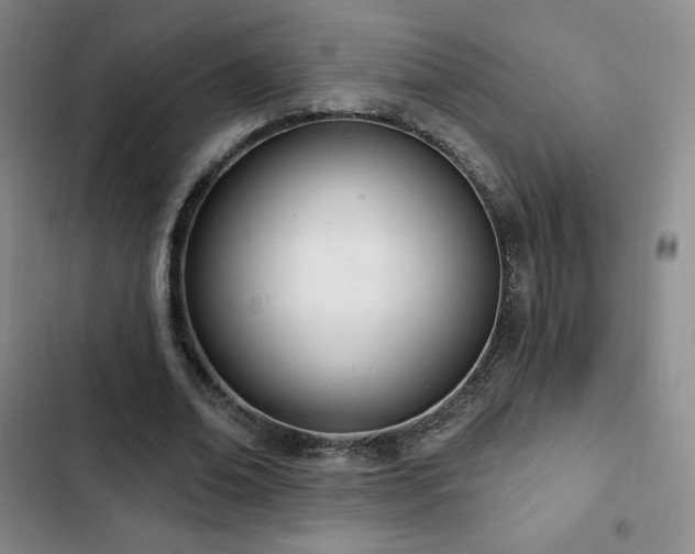 X0000103170678200808221235