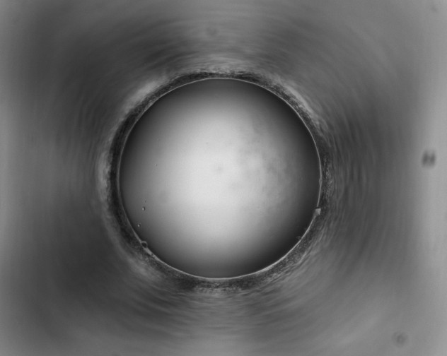 X0000103170679200808221235