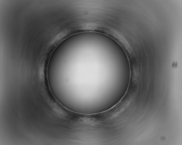 X0000103170681200808221235