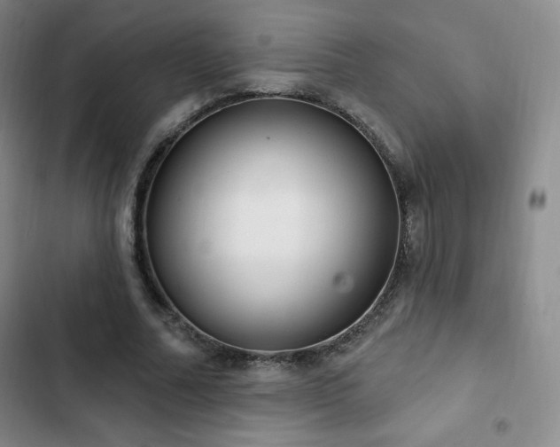 X0000103170682200808221235