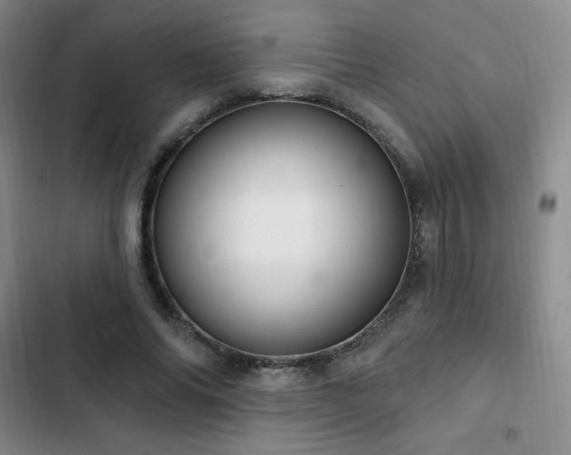 X0000103170686200808221235