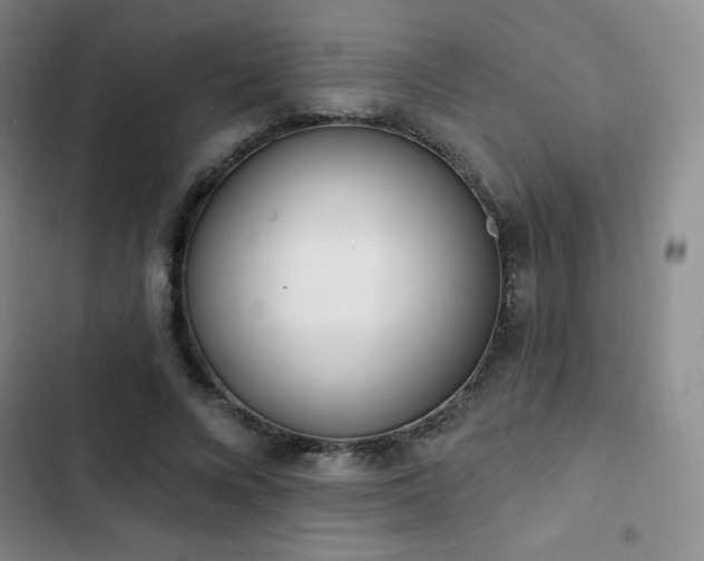 X0000103170688200808221235