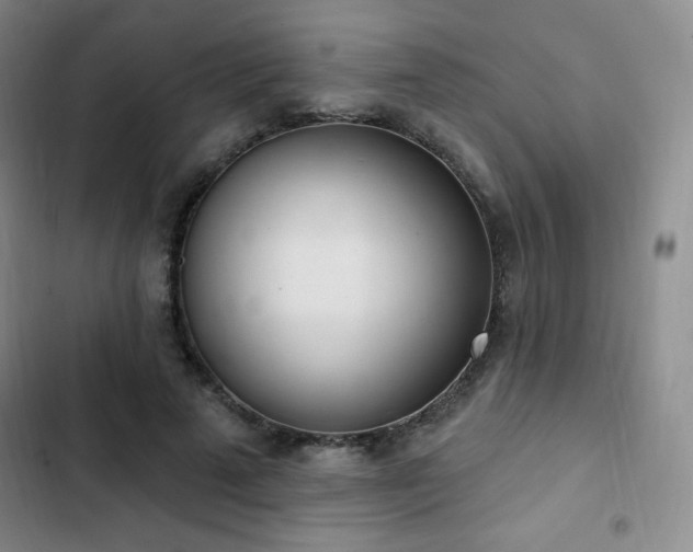 X0000103170689200808221235