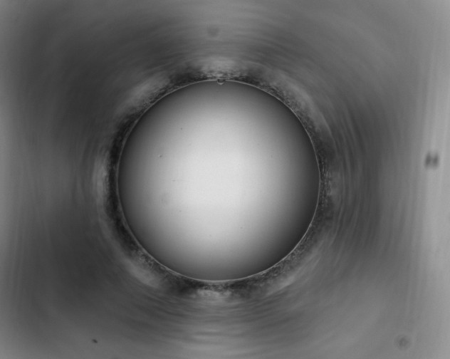 X0000103170690200808221235