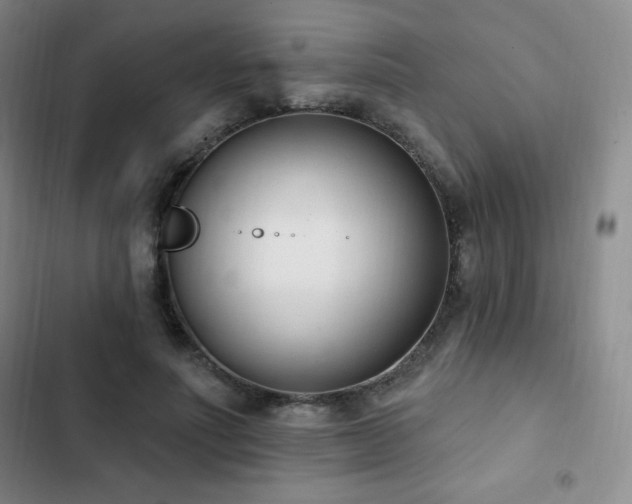 X0000103170691200808221235