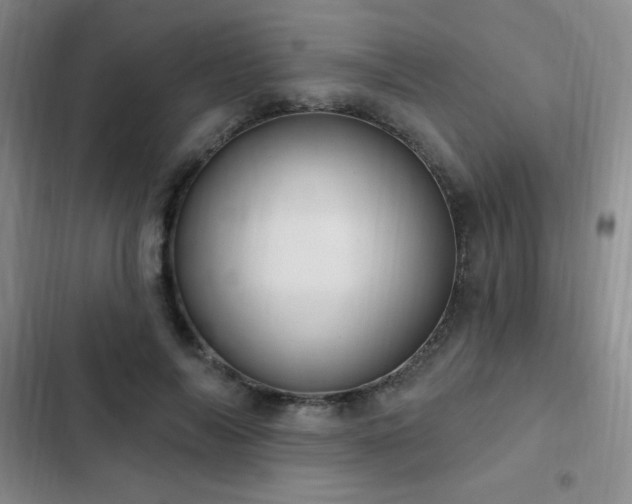 X0000103170694200808221235