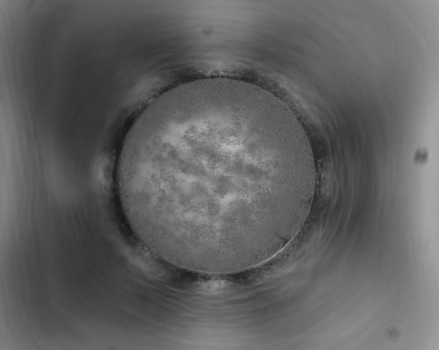 X0000103170695200808221235