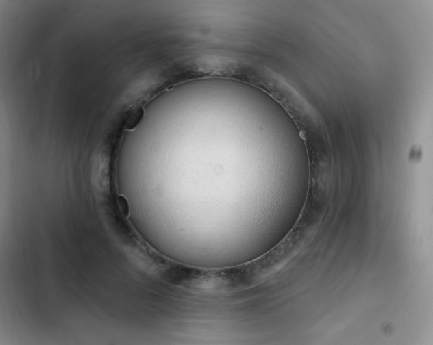 X0000103170696200808221235