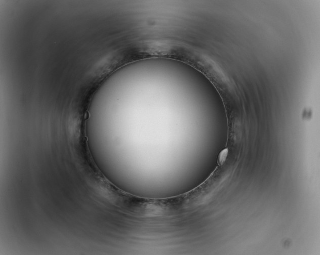 X0000103170697200808221235