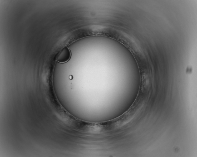 X0000103170698200808221235