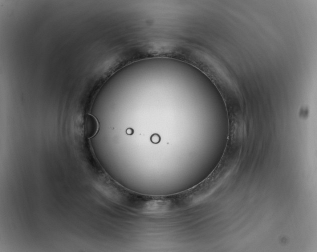 X0000103170700200808221235