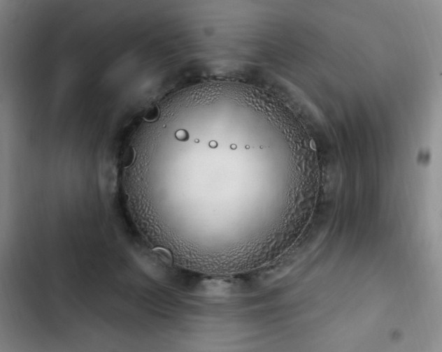 X0000103170703200808221235