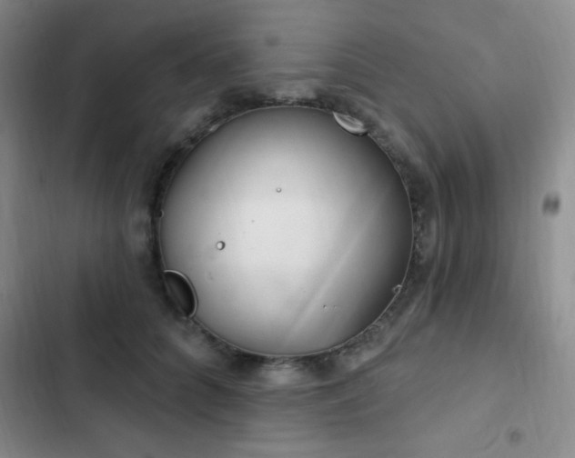 X0000103170704200808221235