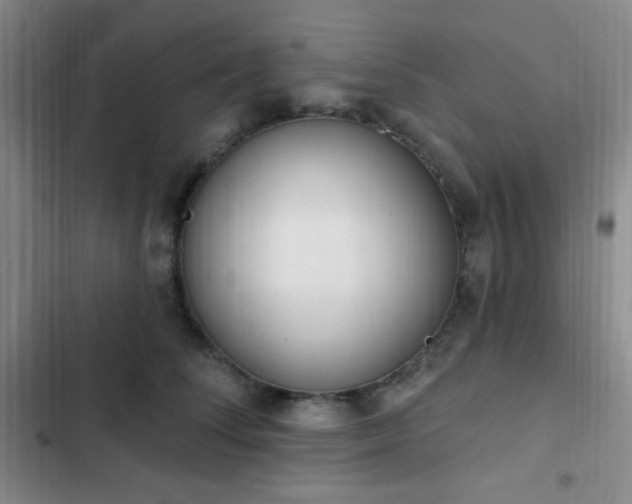 X0000103170708200808221235