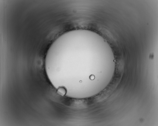 X0000103170709200808221235