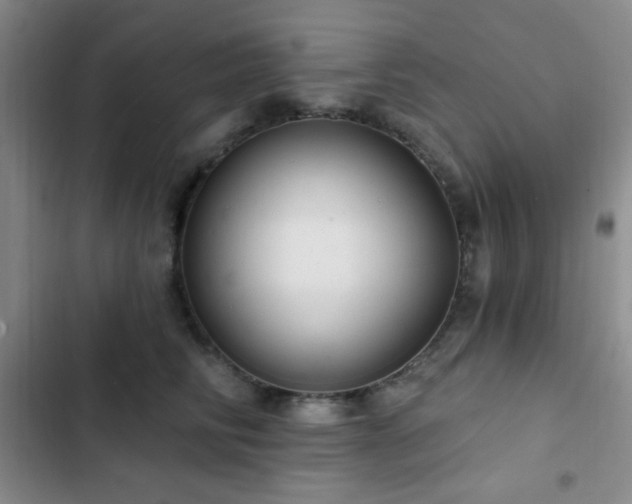 X0000103170710200808221235