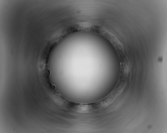 X0000103170711200808221235