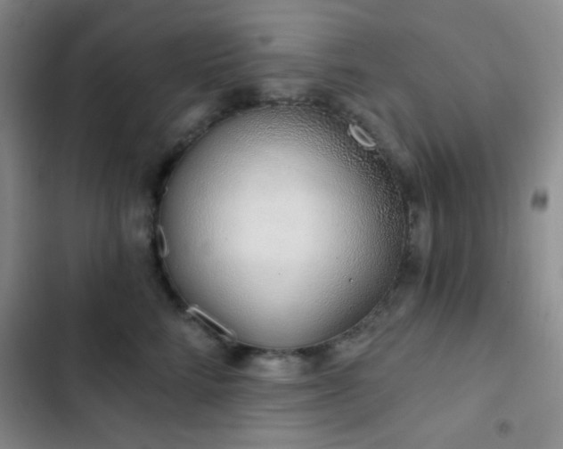 X0000103170712200808221235