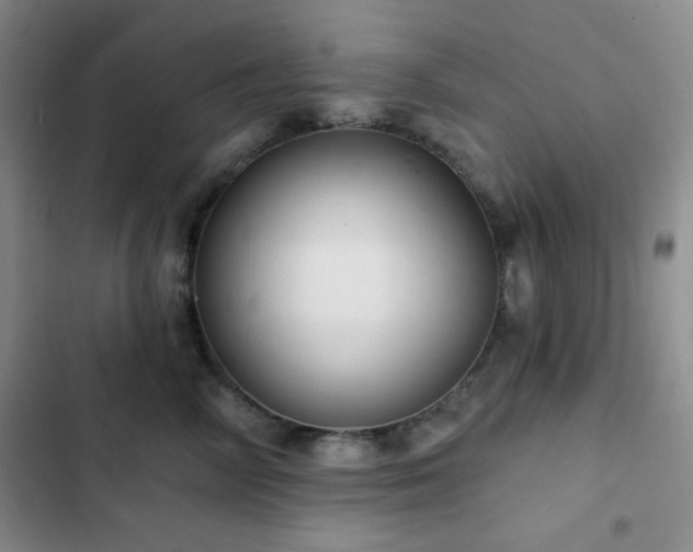 X0000103170714200808221235