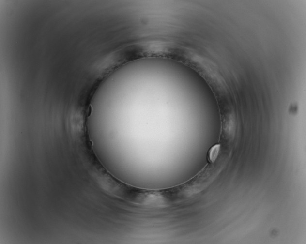 X0000103170715200808221235