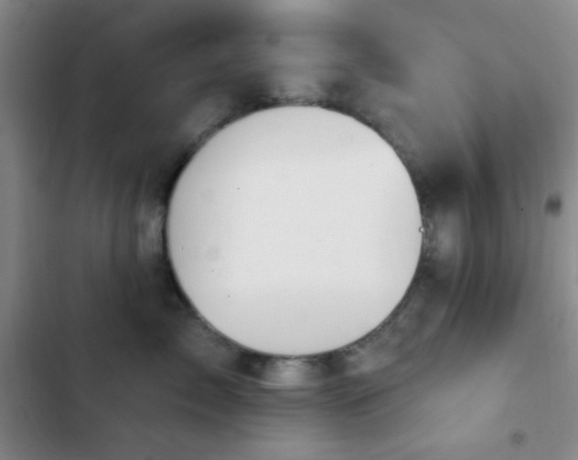 X0000103170717200808221235