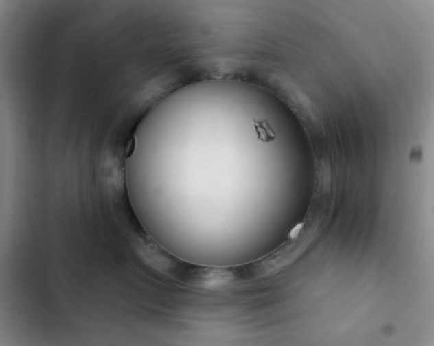 X0000103170719200808221235