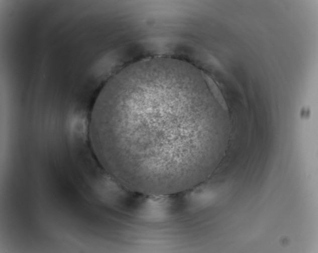 X0000103170720200808221235