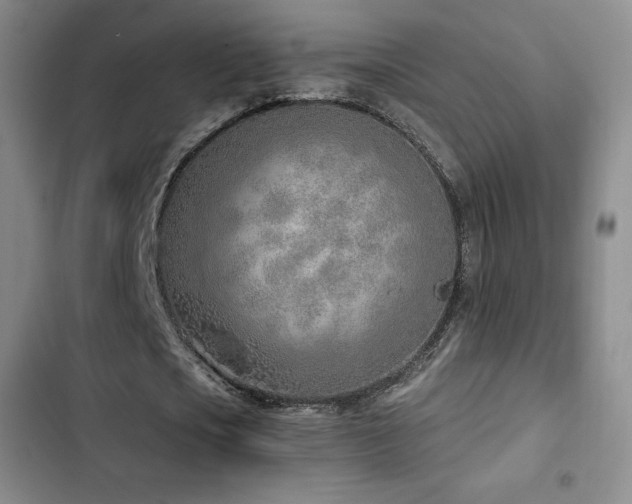 X0000103170721200808221234