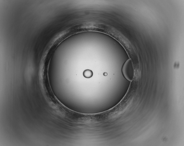 X0000103170724200808221234
