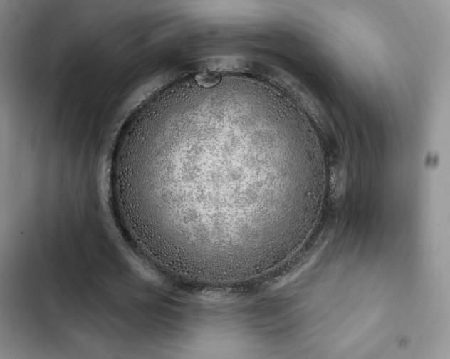 X0000103170725200808221234