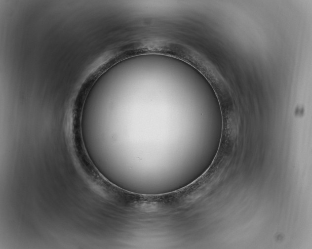 X0000103170730200808221234