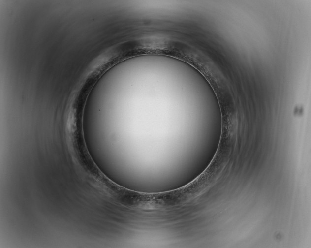 X0000103170731200808221234