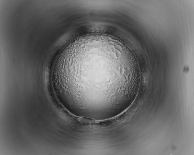 X0000103170733200808221234