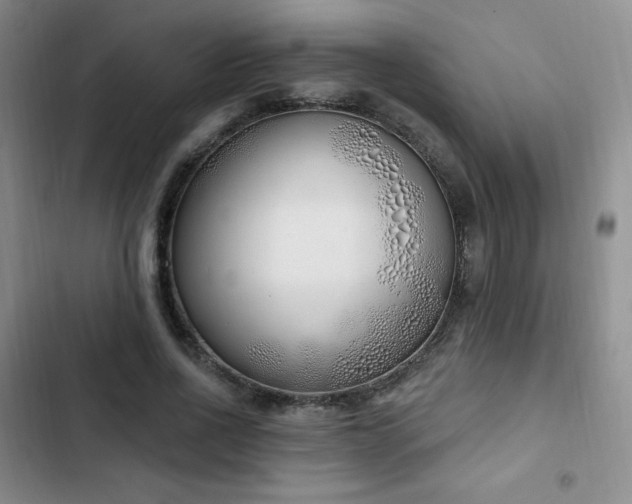 X0000103170734200808221234